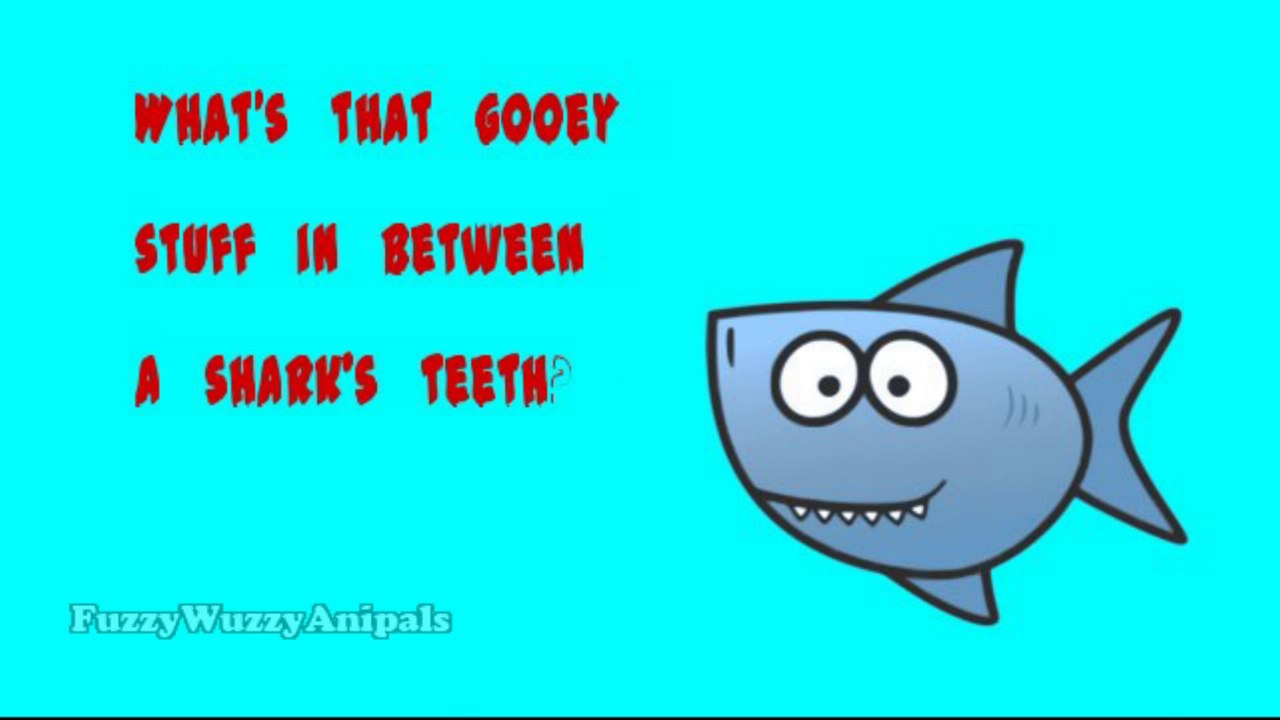 Kids Jokes 8 Shark