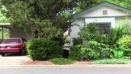 PAUL VOLZ FARMERS INSURANCE AGENT  ASHLAND OREGON