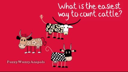 Kids Jokes 11 Cows