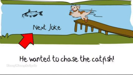 Kids Jokes 12 Dog