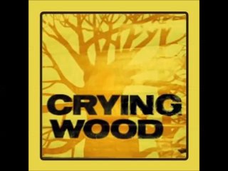 Crying Wood "Back to the Mountains"1970 Dutch Psych Rock