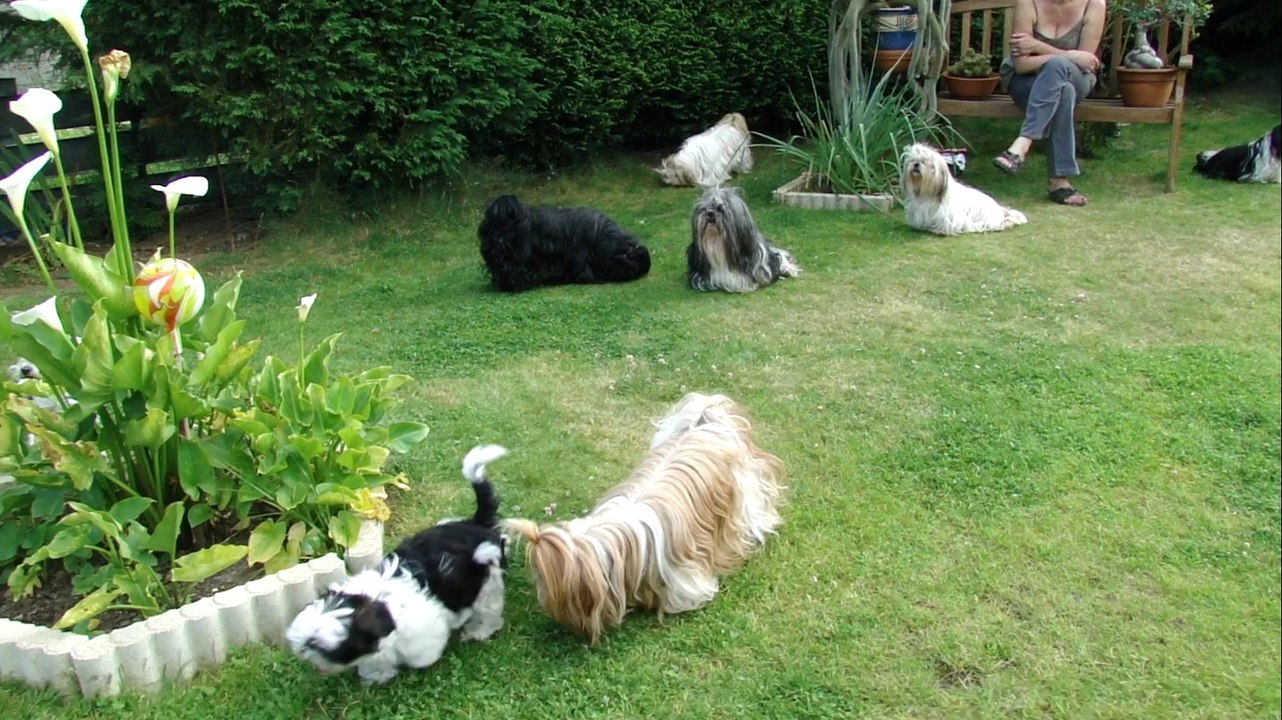 LES BB DE BISOU ET DE FALBALA QUI SONT DISPO S' ECLATENT.....