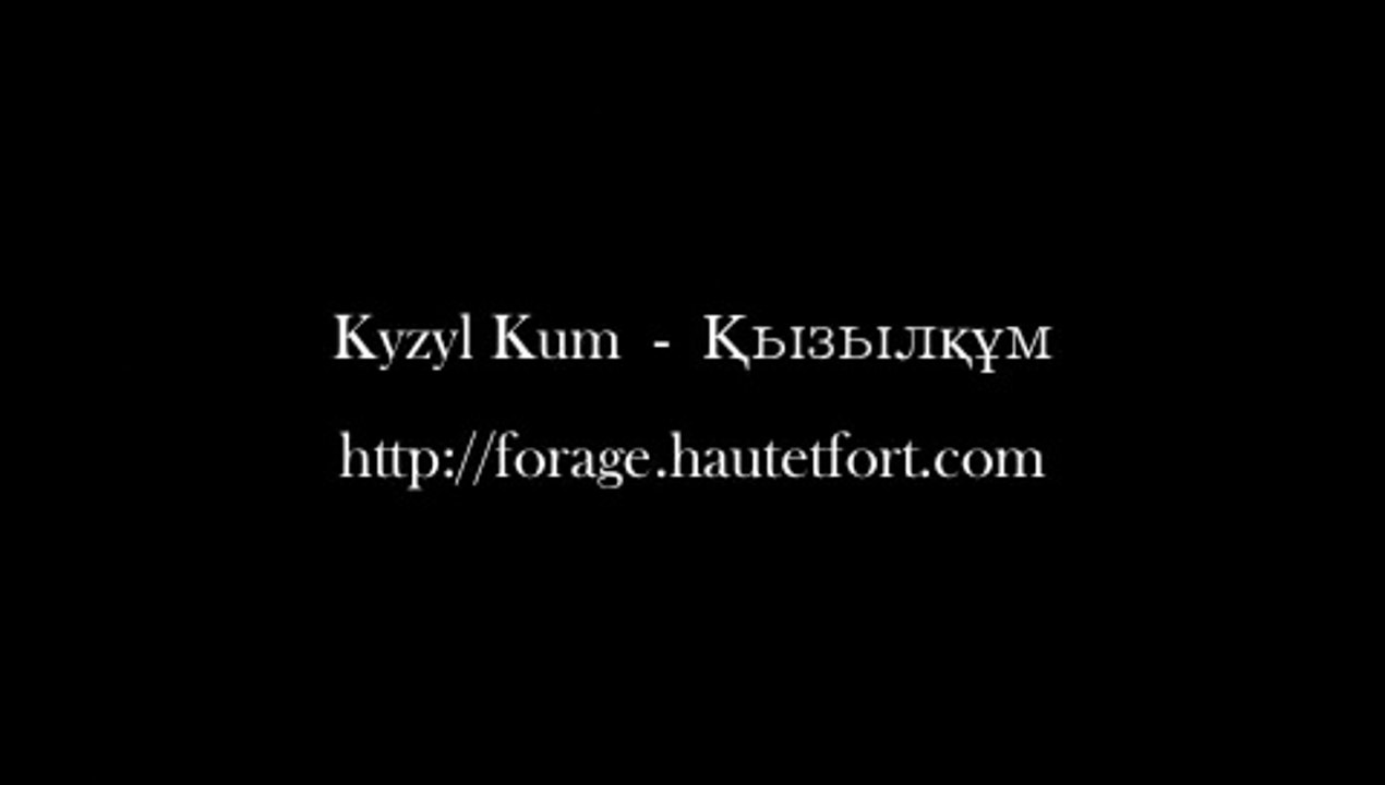 Kyzyl Kum