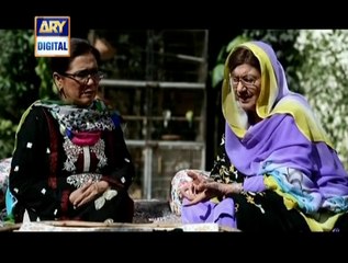 Bhabhi Full Episode 2 on Ary Digital - High Quality Drama hd
