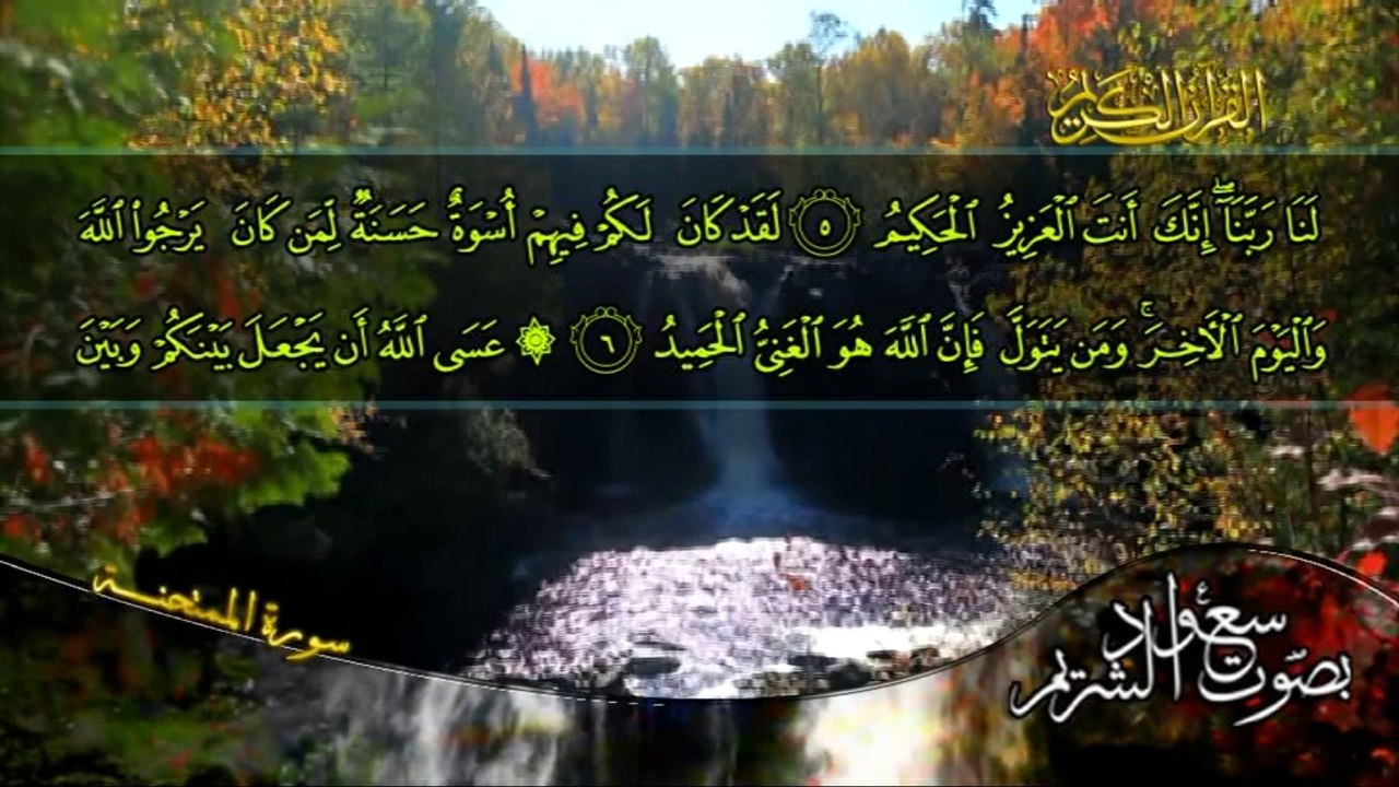 سورة الممتحنة كاملة بصوت القارئ سعود الشريم