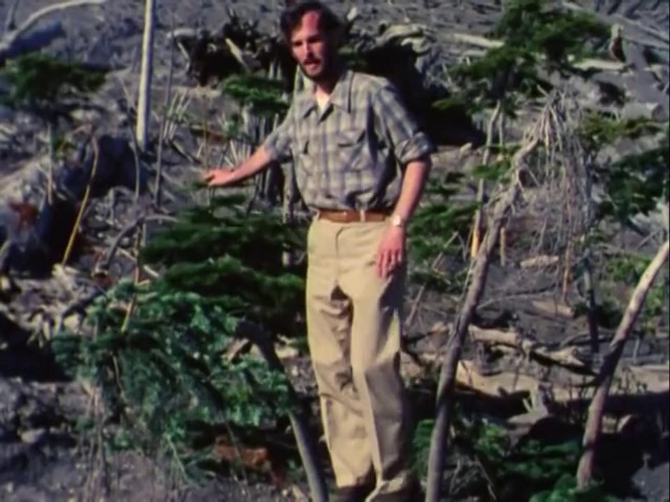 This place in time  The Mount St. Helens story