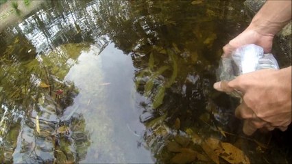 GoPro HD: Releasing Fish