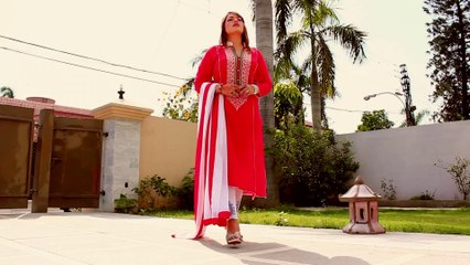 Babar Bukhari New Music Video Project  "Rog Labba Na Tabibba" by Nirmal Official Teaser Released