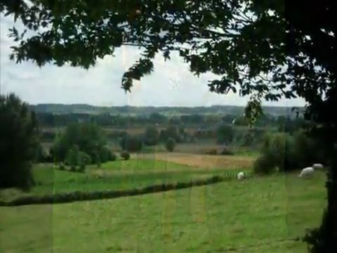 Camille Saint-Saëns - Aquarium [Le pays des collines]