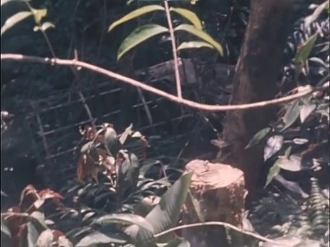 ARTILLERY MAINTENANCE