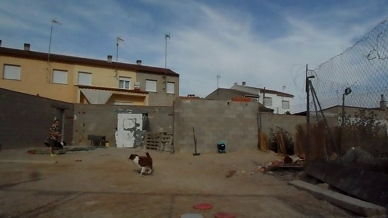 Predisposición Total...