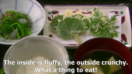 Mi wo Tsukushi.Ryoricho 2014.part 1-2