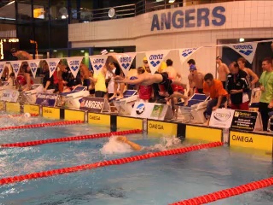 saint sebastien natation - saison 2013-2014 en photo