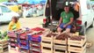Preturi exorbitante in pietele din capitala Fructele si legumele costa peste 20 de lei per kg Cum explica vanzatorii