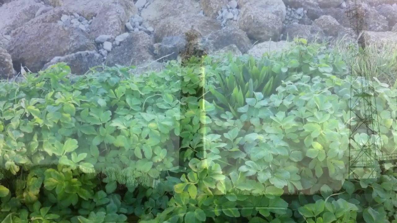 Chassiron 02-02-2014