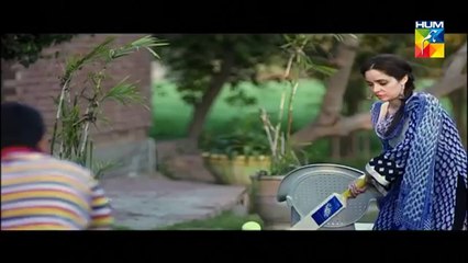 Janam Jali Episode 4 HUM TV Drama