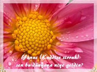 Göçtü Kervan Kaldık Dağlar Başında