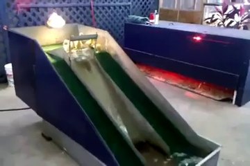 duck enjoying sliding
