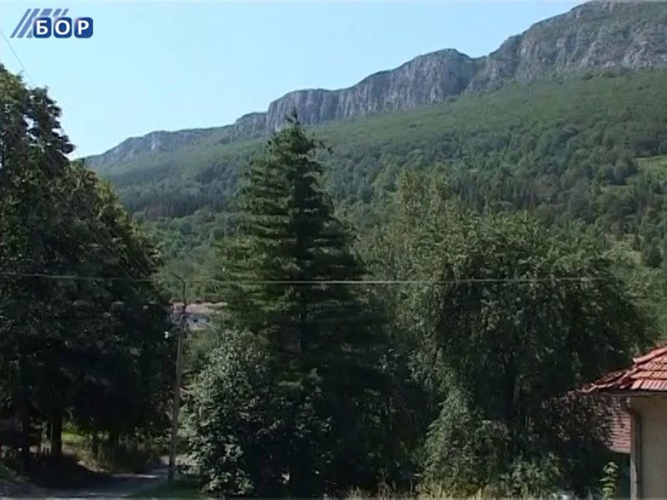Zdravlje, 22. jun 2014.
