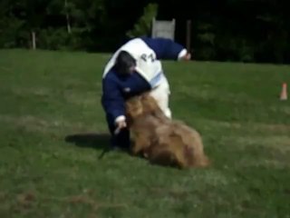 Entraînement Ring Eastland jeu bâton