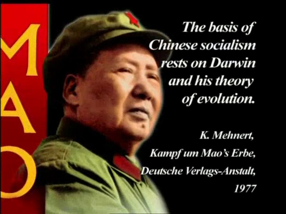 bloody_history_of_communism_3_divx