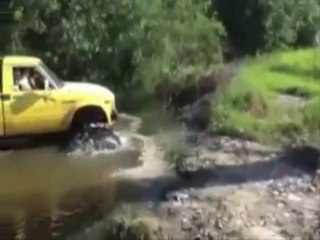 swamp swallows 4X4
