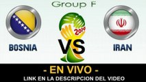 Ver partido Bosnia vs Iran En Vivo Mundial Brasil 2014 25 de Junio 2014