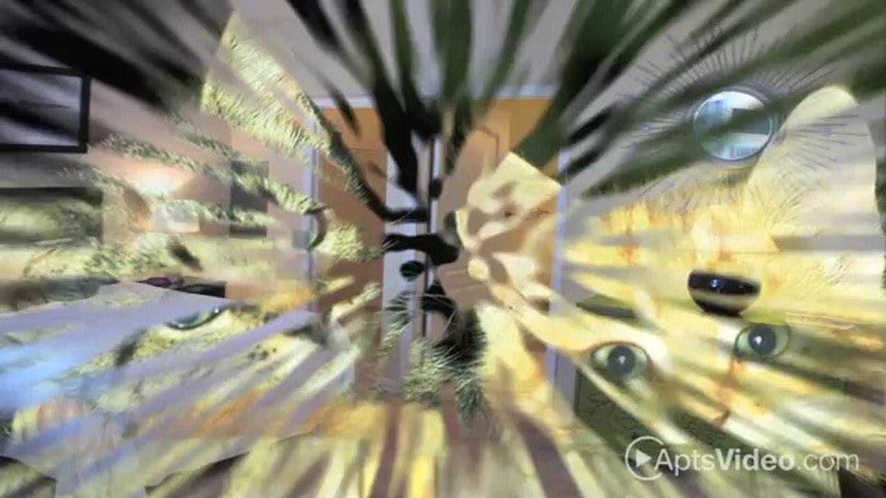 Alvista Willow Brook Apartments in Meriden, CT - ForRent.com