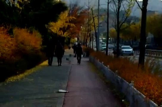 로얄드림카지노 ◈ ＷＯＷ７７８．ＣㅇＭ ◈ 로얄 드림 카지노 동영상