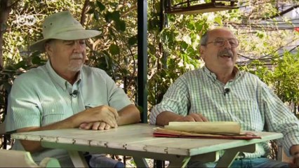 En la práctica: Con el escarabajo al Mundial de Fútbol | Al volante