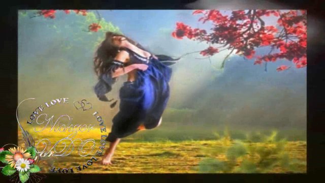 Sefa Topsakal - Rüzgar Aldım