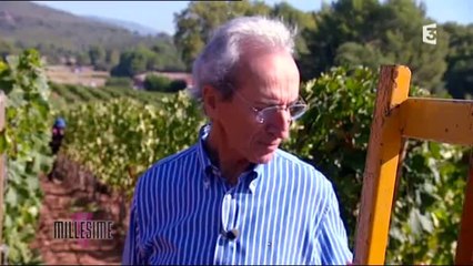 Millésime : La folie du vin rosé