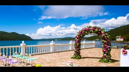 SDE - Роман и Софья (Монтаж клипа в день свадьбы)