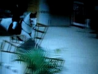 Héros Equita Lyon D1E 2ème partie