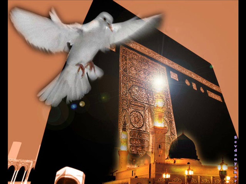 Geylani Kara Aslan Medine Gülü Dj Can Uzman 2014 Remix