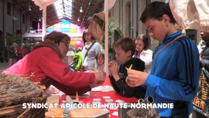 Couleur Nature aux Docks Vauban - édition 2014