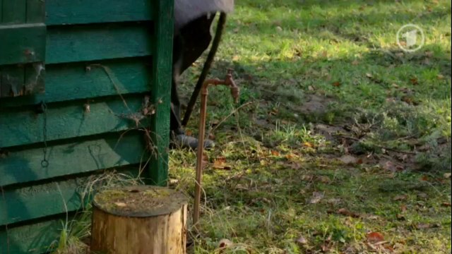 Folge 4515 Kim + Ansgar