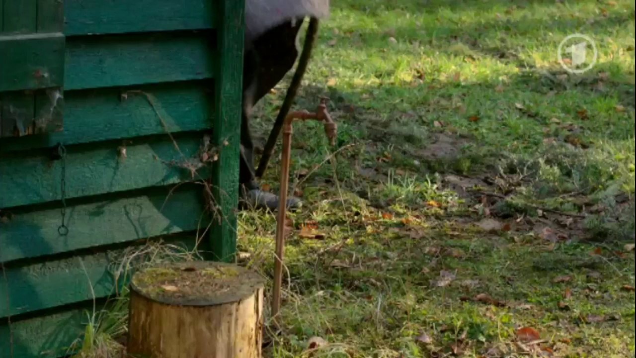 Folge 4515 Kim + Ansgar