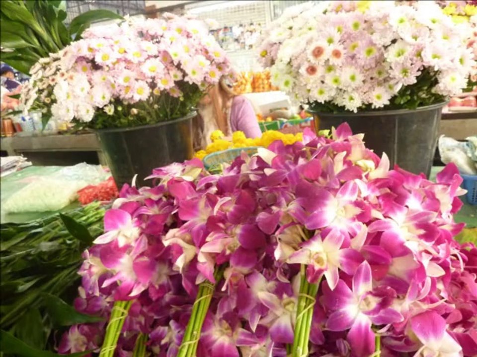 Thailande Cambodge  vacances déc 2013-janv 2014