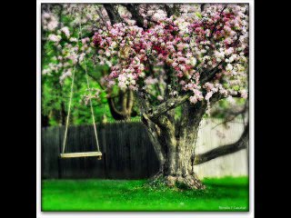 Hoon Ajeeb Kashmakash Mein - Mitali Singh