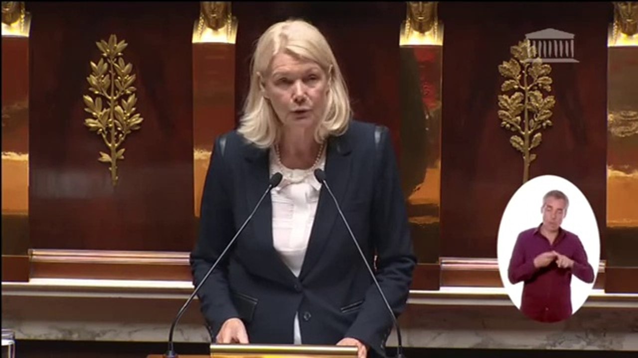 Dominique orliac députée PRG sur la mise en accessibilité des établissements recevant du public