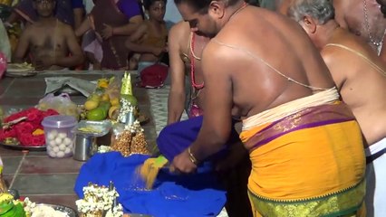 vridhachalam bajan mela 20 06 14 to 22 06 14  tirupapuliyur gopalasundara bagavatar 22 06 14   00022