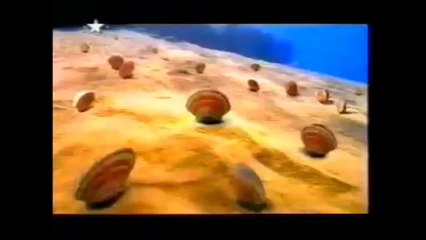 Star TV Reklam Kuşağı (2001)