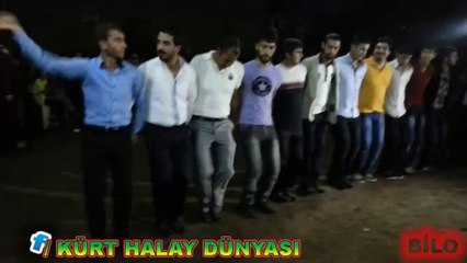 Tải video: BİTLİS AHLAT HALAYLARI YAVUZUN DÜĞÜNÜ