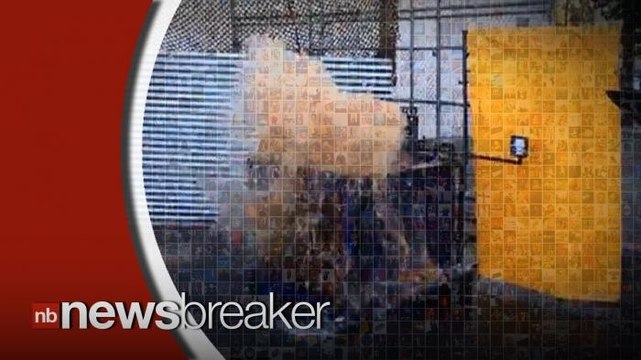 Epic Meal Time Dumps Man Wearing Mentos Suit into Diet Coke; Science Ensues