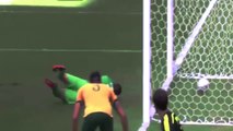 Goal David Villa Australia Vs Spain 0-1 World Cup 2014