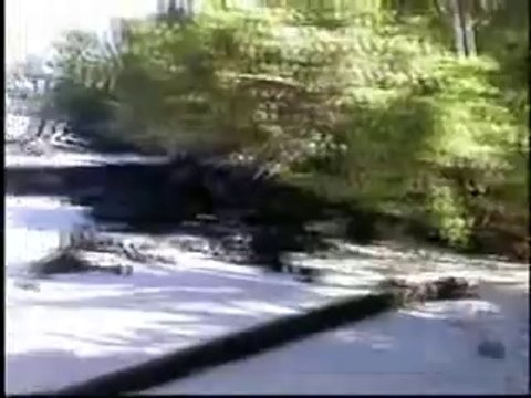 cheap hotels and flights,samoa,fiji,bora bora,tahiti,cook island