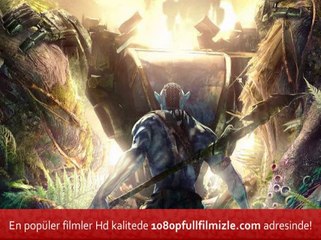 Aynı Yıldızın Altında