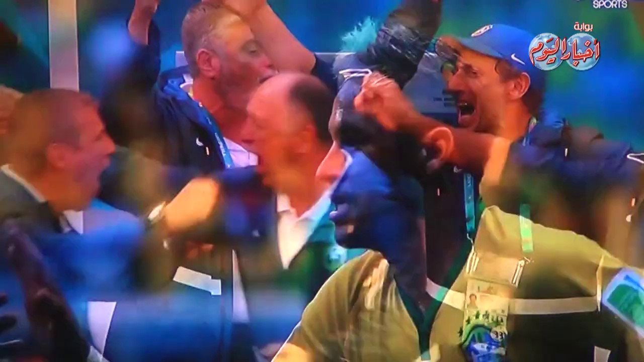 هدف البرازيل في مرمى الكاميرون
