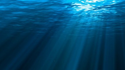 Plongées à Moyades